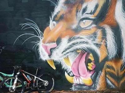 The man behind Tiger Adventure