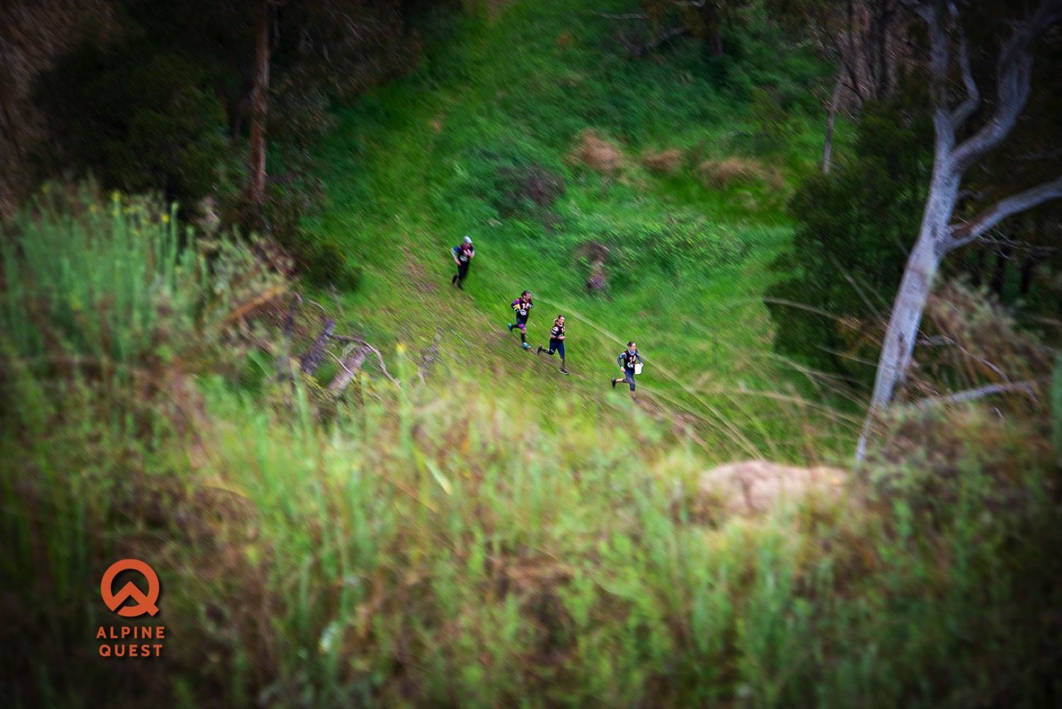 rogaine oriental claims